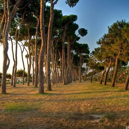 Apartamento Residenza Il Corallo - Corallo Bianco - *
