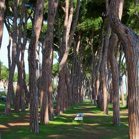 Apartamento Residenza Il Corallo - Corallo Bianco - *