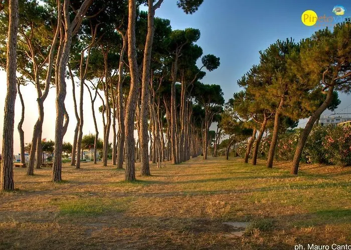 アパート Residenza Il Corallo - Corallo Bianco - *