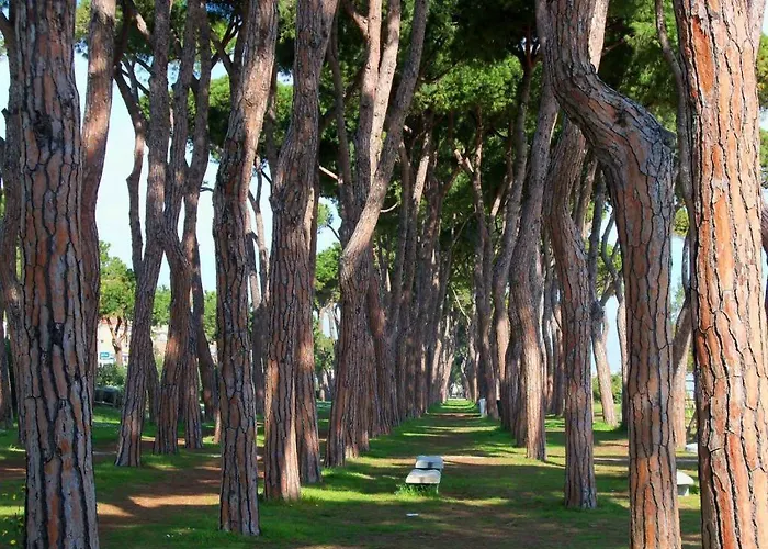 アパート Residenza Il Corallo - Corallo Bianco - *